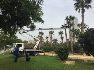 Montaje de las instalaciones de Bob Verschueren en los jardines del río Turia